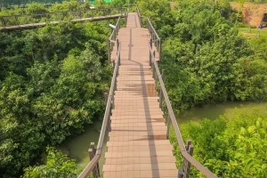 15-years-leader-of-wpc-01