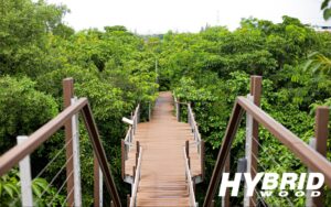 solumat-project-1-02