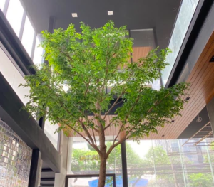 Screen Shot 2564-08-10 at 14.36.37