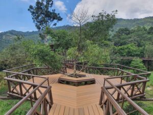 LINE_ALBUM_211208_12