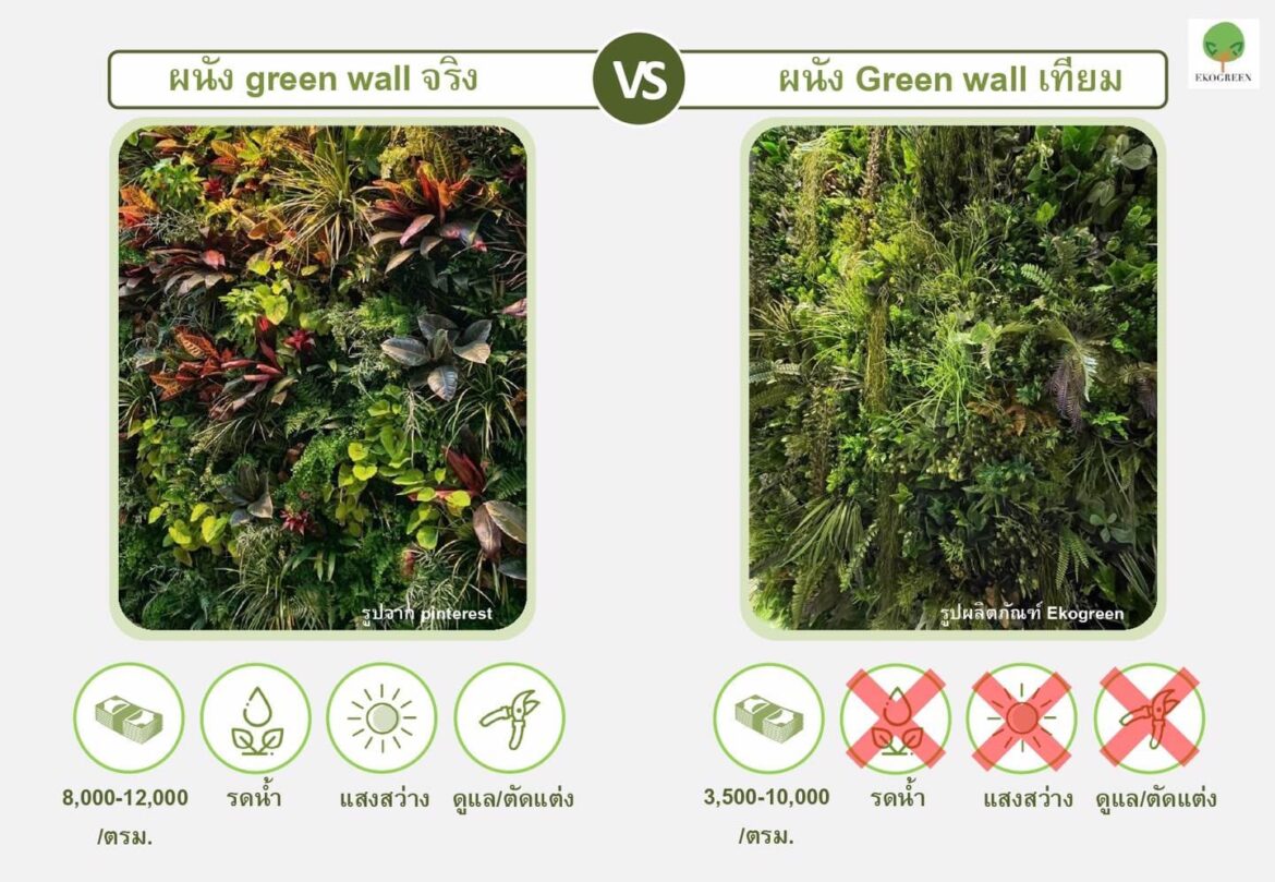 เทียบกันชัดๆหมัดต่อหมัดระหว่างผนังต้นไม้จริงVS ผนังต้นไม้เทียม ชอบแบบไหนกันคะ?