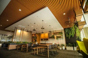 renovate-with-hybridwood-01
