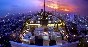 hybridwood-project-the-vertigo-05