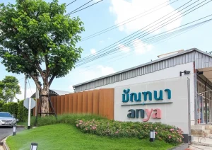 hybridwood-project-anya-01