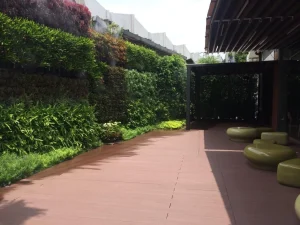 hybridwood-project-cafe-amazon-03