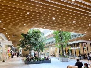 hybridwood-project-central-si-racha-05