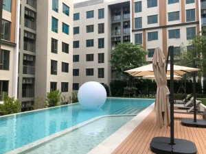 hybridwood-project-phyll-01