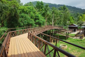 hybridwood-project-samui-02