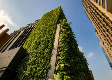 Vertical Garden กับการสร้างพื้นที่สีเขียวสำหรับอาคารภายในและภายนอก